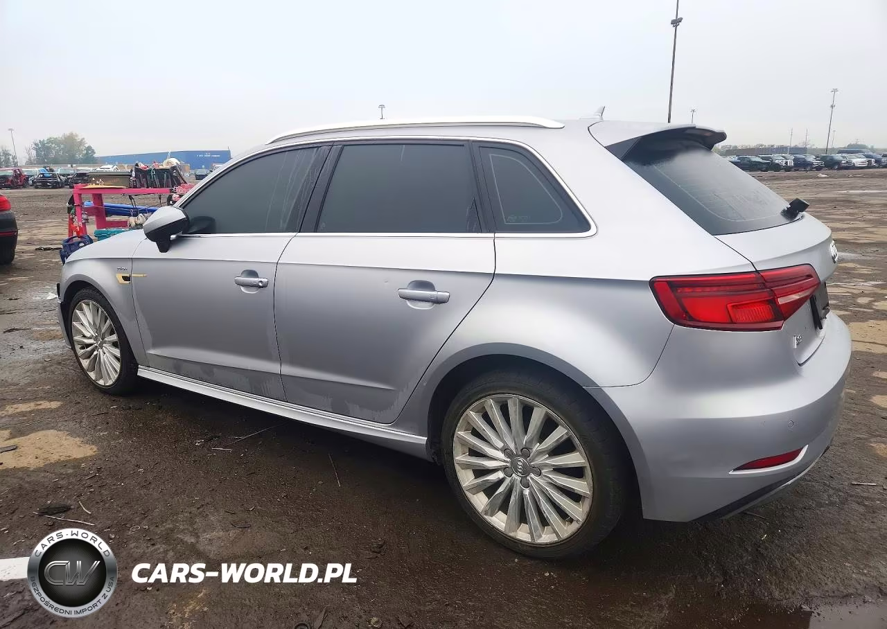 2017 Audi A3 E-Tron Prestige VIN:WAUSPBFF5HA104823 - 2