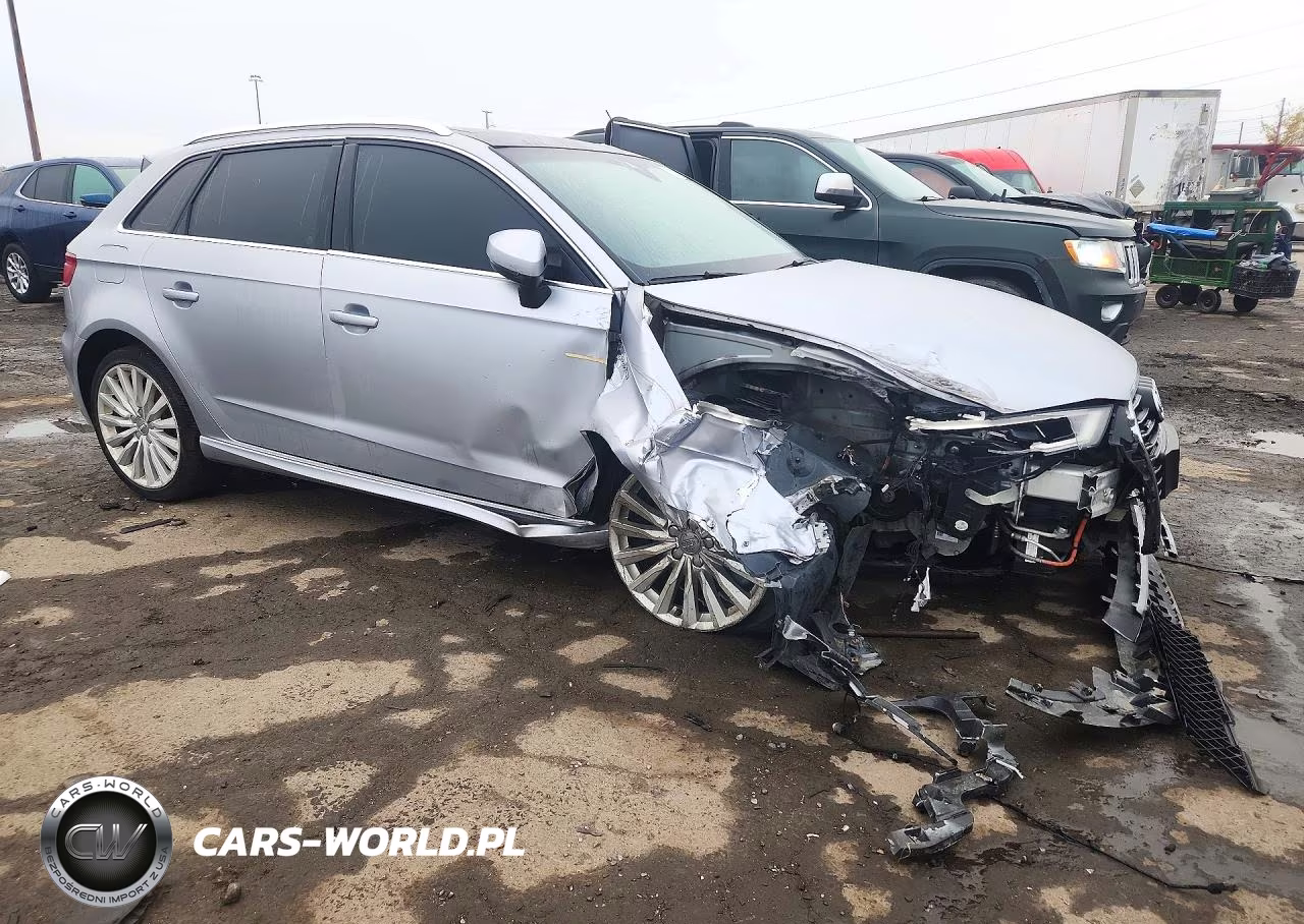 2017 Audi A3 E-Tron Prestige VIN:WAUSPBFF5HA104823 - 4