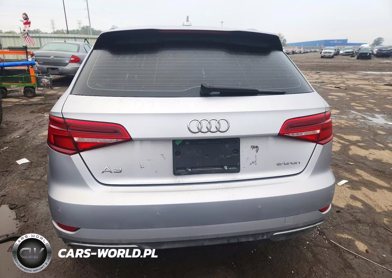 2017 Audi A3 E-Tron Prestige VIN:WAUSPBFF5HA104823 - 6