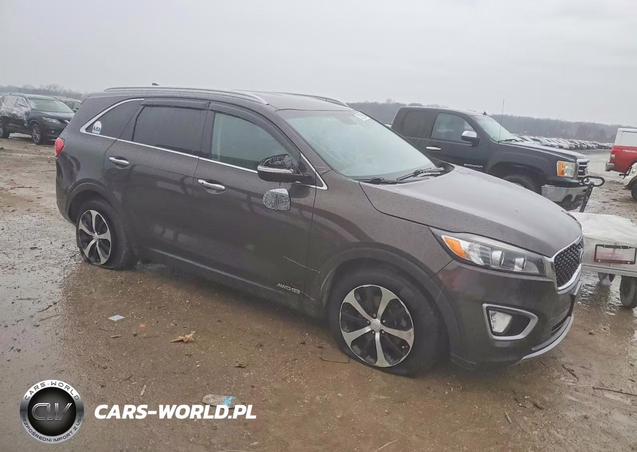2017 Kia Sorento Ex VIN:5XYPHDA52HG228600 - 4