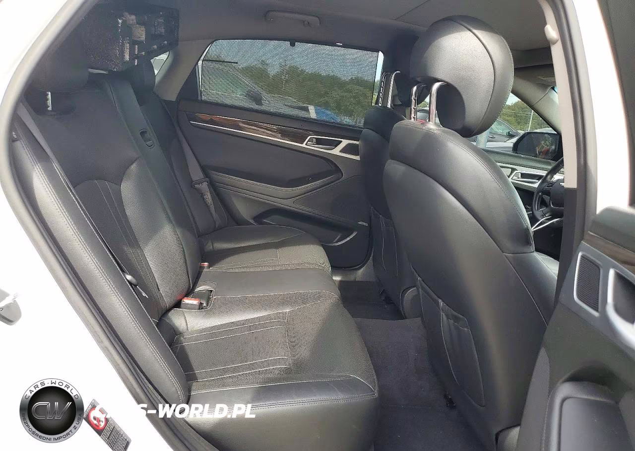 2016 Hyundai Genesis 3.8L VIN:KMHGN4JE6GU137072 - 10