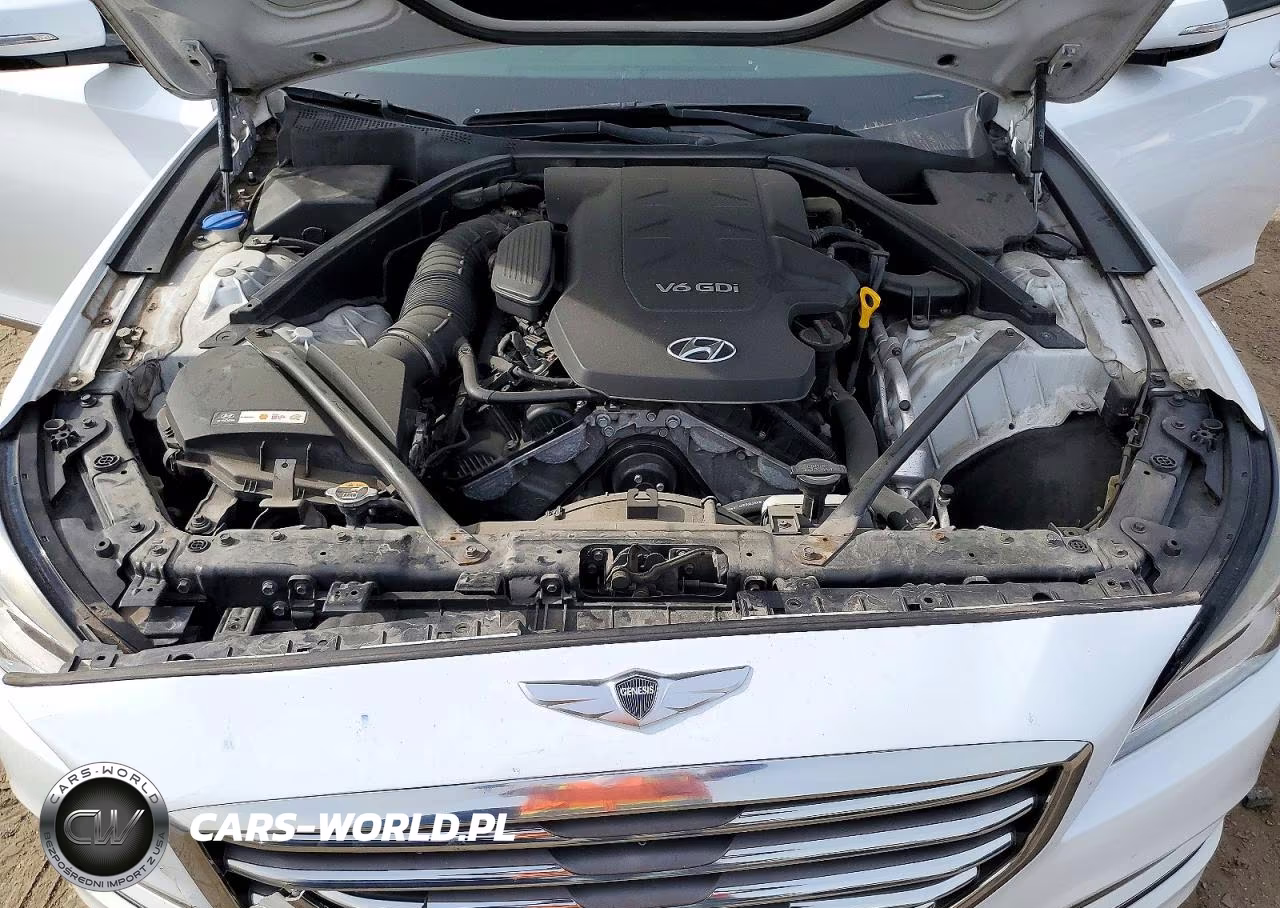 2016 Hyundai Genesis 3.8L VIN:KMHGN4JE6GU137072 - 11