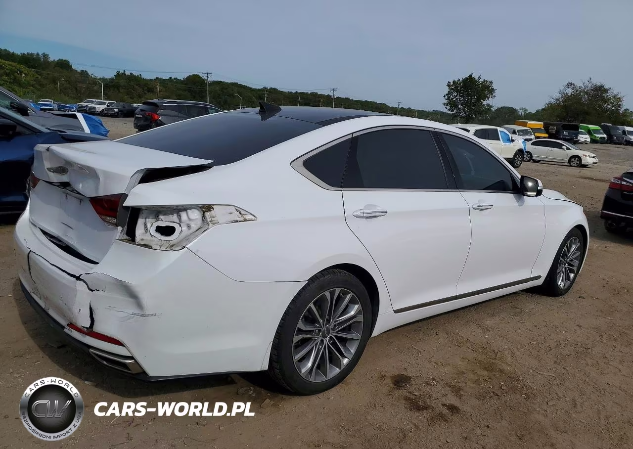 2016 Hyundai Genesis 3.8L VIN:KMHGN4JE6GU137072 - 3