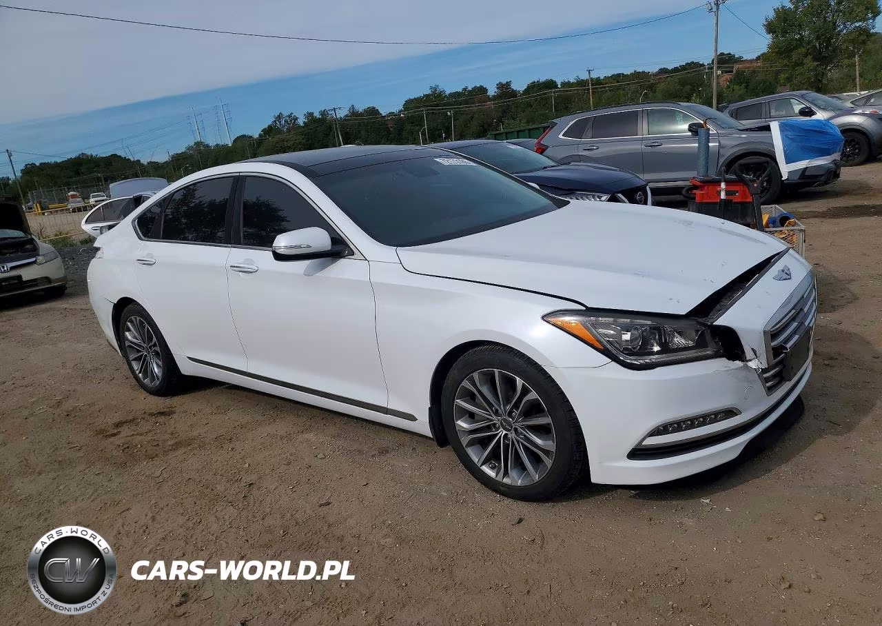 2016 Hyundai Genesis 3.8L VIN:KMHGN4JE6GU137072 - 4