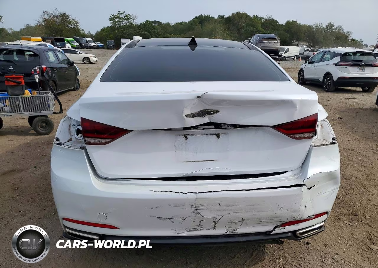 2016 Hyundai Genesis 3.8L VIN:KMHGN4JE6GU137072 - 6