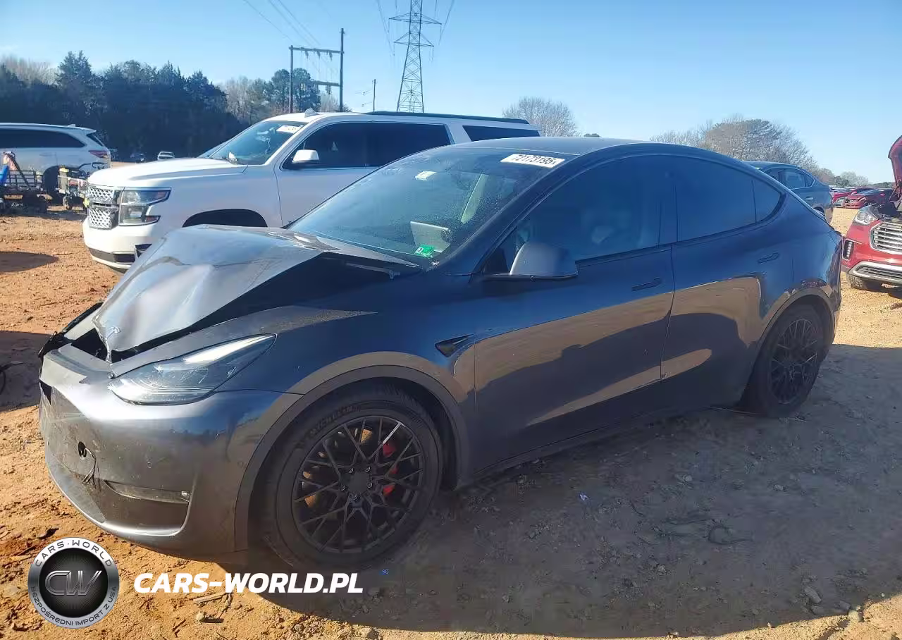 2021 Tesla Model Y