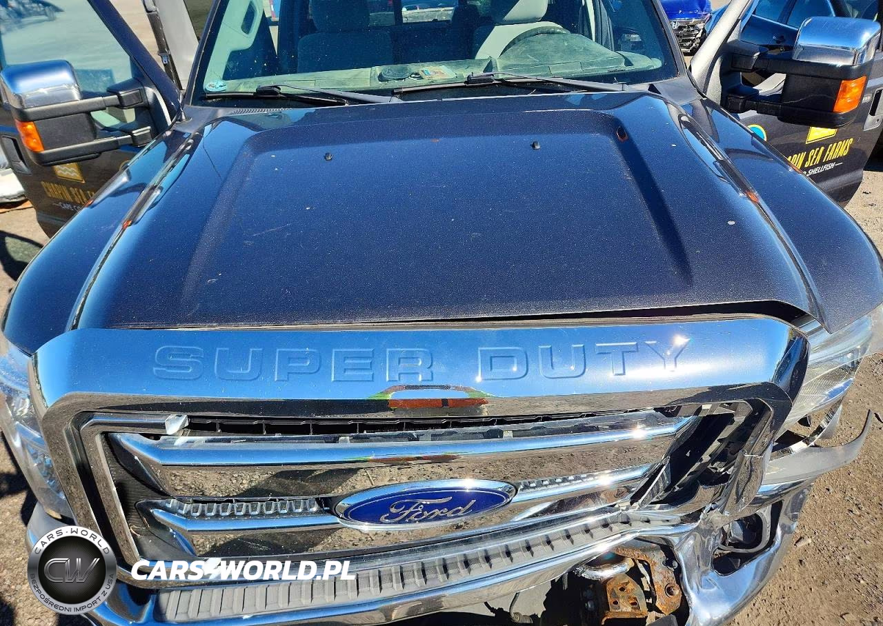 2015 Ford F250 Super Duty VIN:1FT7X2B67FEC07309 - 11
