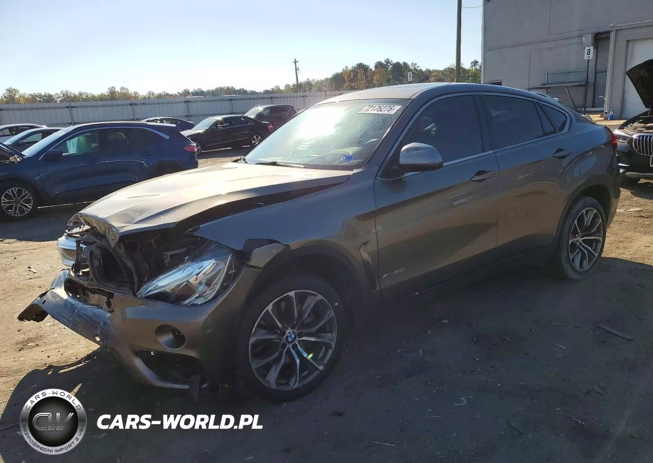 2018 BMW X6 xDrive50I VIN:5UXKU6C52J0W39097 - 1