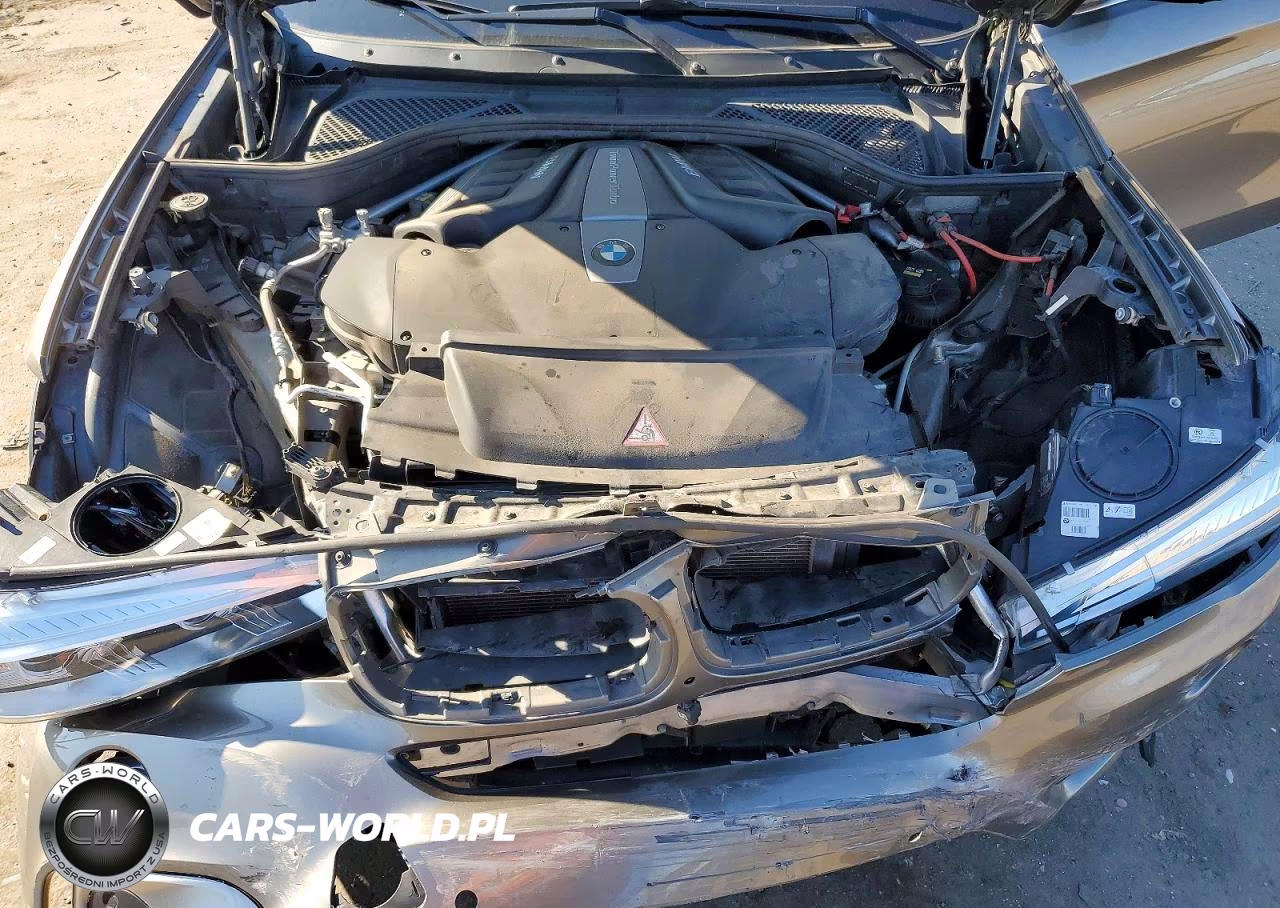 2018 BMW X6 xDrive50I VIN:5UXKU6C52J0W39097 - 12