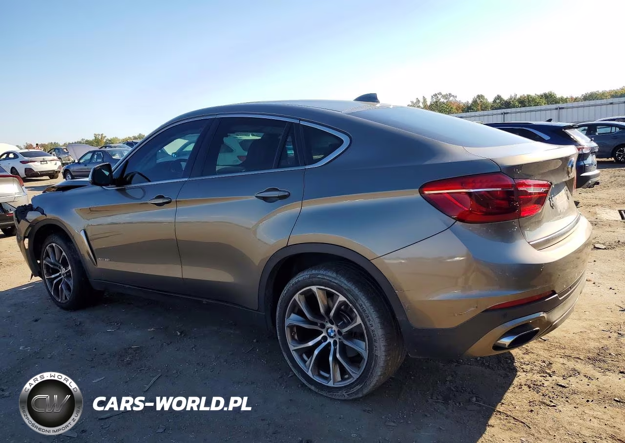 2018 BMW X6 xDrive50I VIN:5UXKU6C52J0W39097 - 2