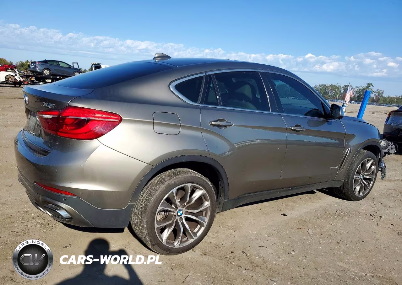 2018 BMW X6 xDrive50I VIN:5UXKU6C52J0W39097 - 3