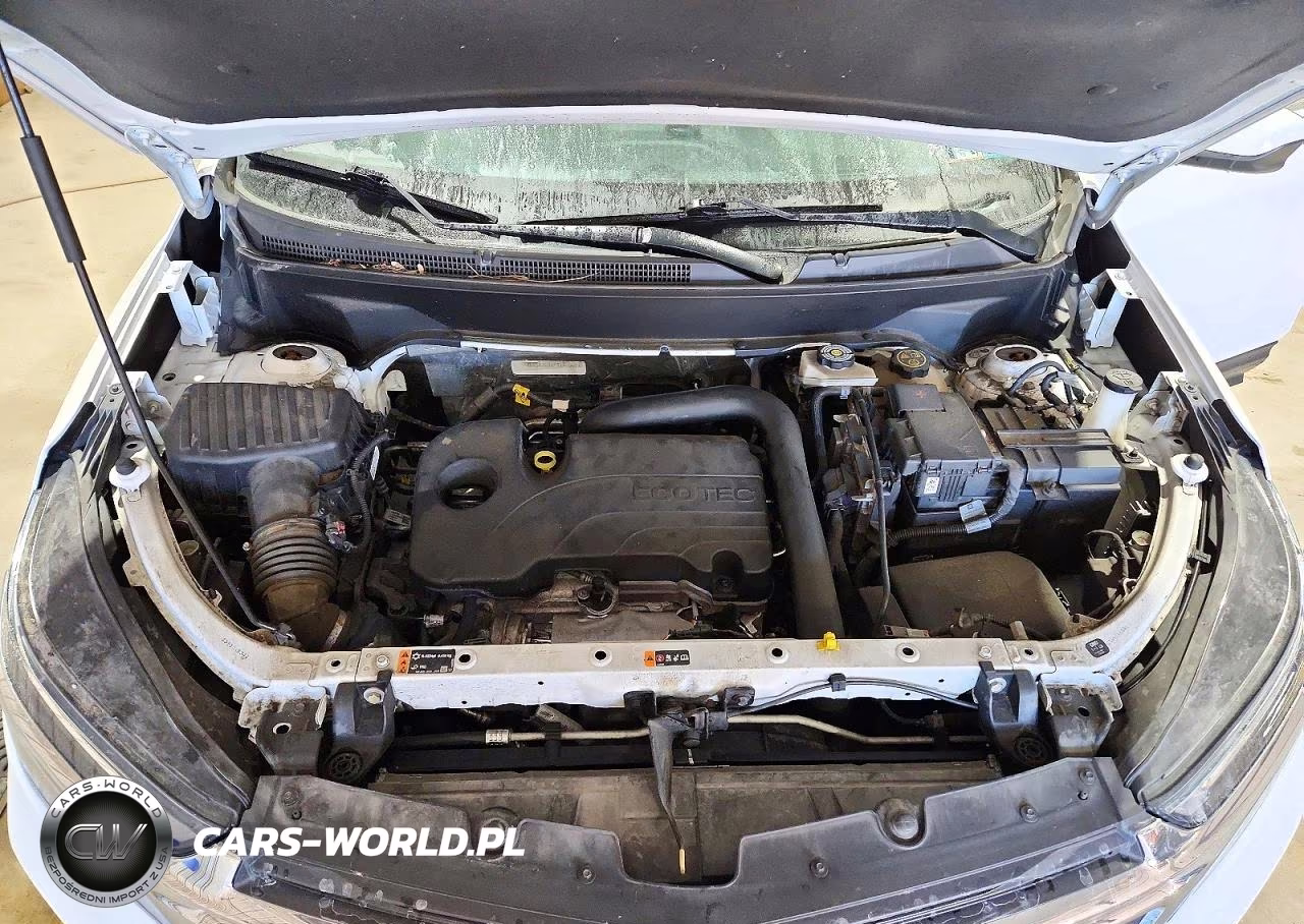 2023 Chevrolet Equinox Lt VIN:3GNAXTEGXPS182808 - 12