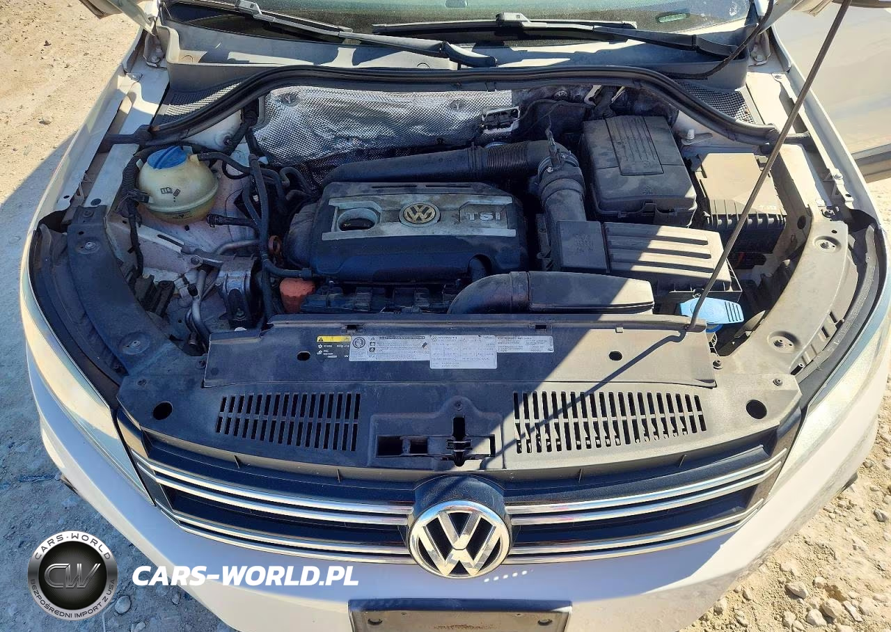 2013 Volkswagen Tiguan S VIN:WVGAV7AX5DW555549 - 12