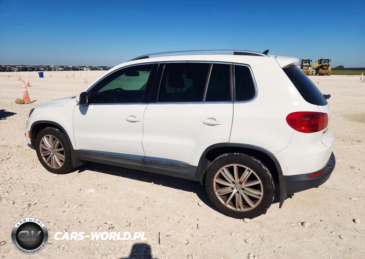 2013 Volkswagen Tiguan S VIN:WVGAV7AX5DW555549 - 2