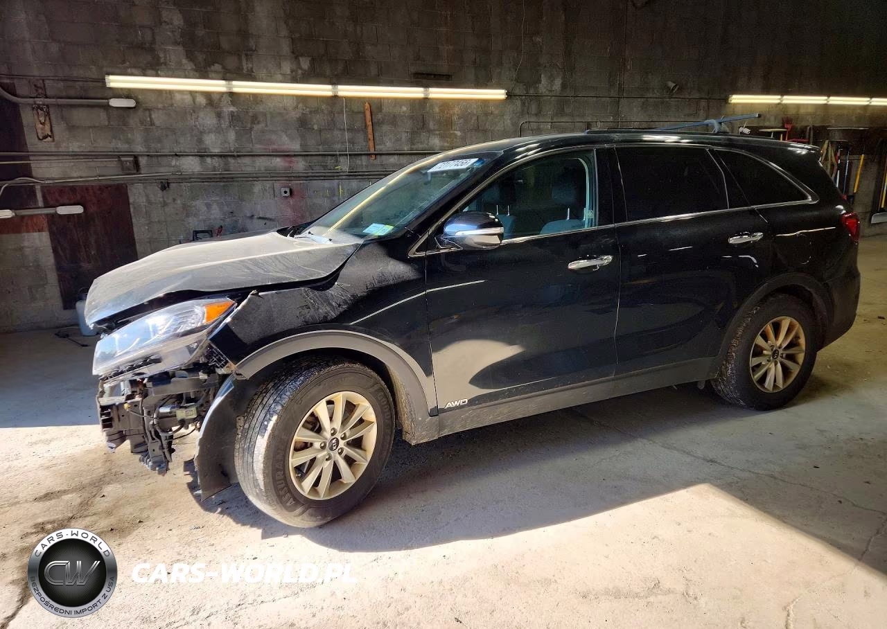 2019 Kia Sorento Lx V6 VIN:5XYPGDA51KG446666 - 1
