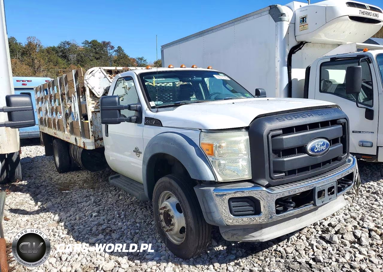 2011 Ford F550 Super Duty VIN:1FDUF5GT5BEA52996 - 4
