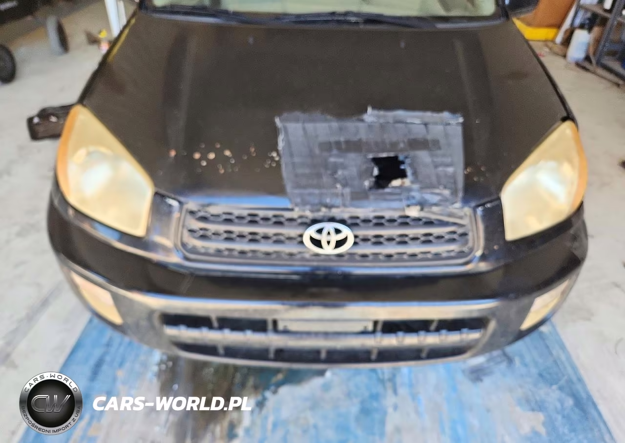 2003 Toyota Rav4 Base VIN:JTEGH20VX30110892 - 11
