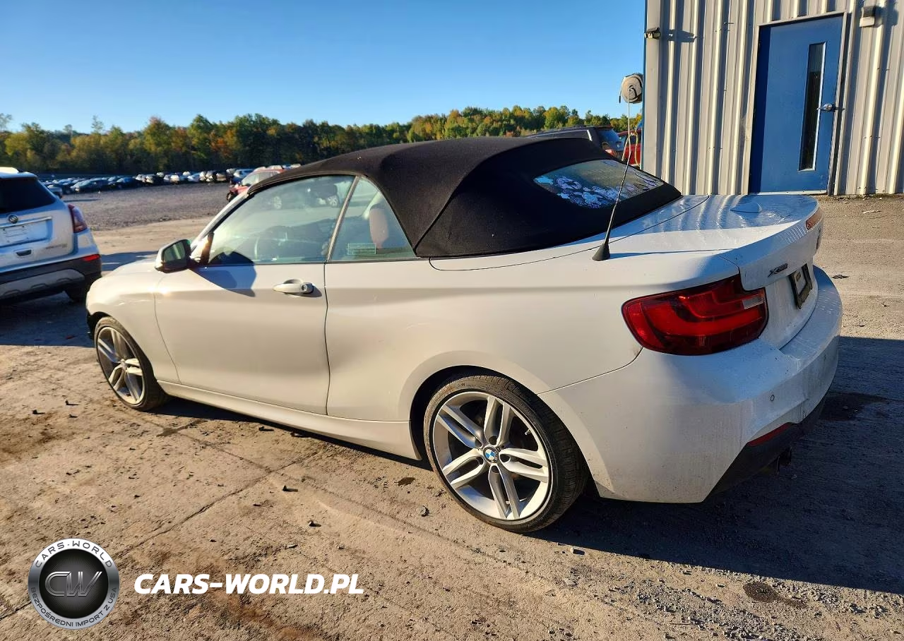 2015 BMW 228 Xi VIN:WBA1K7C53FV473219 - 2