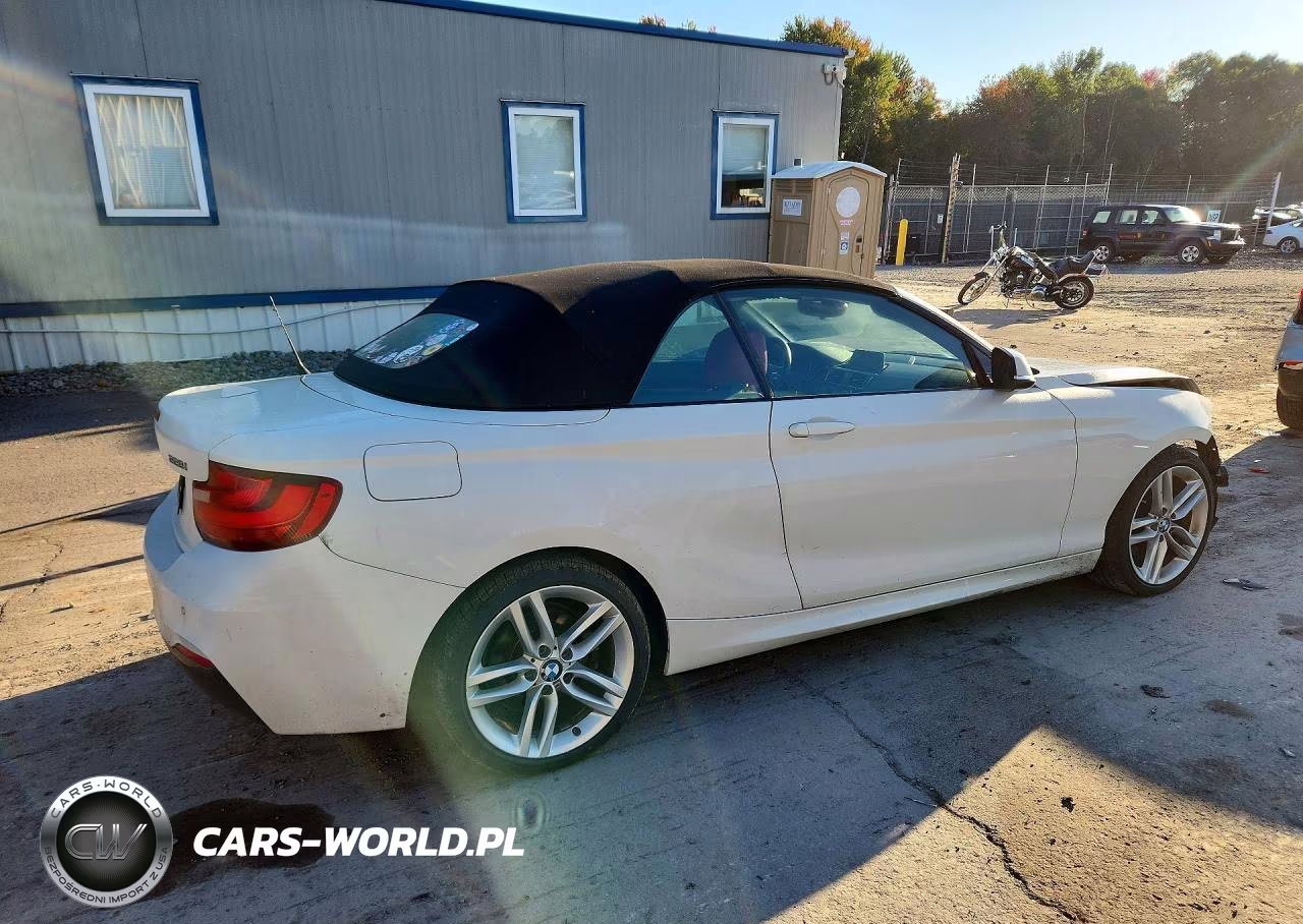 2015 BMW 228 Xi VIN:WBA1K7C53FV473219 - 3