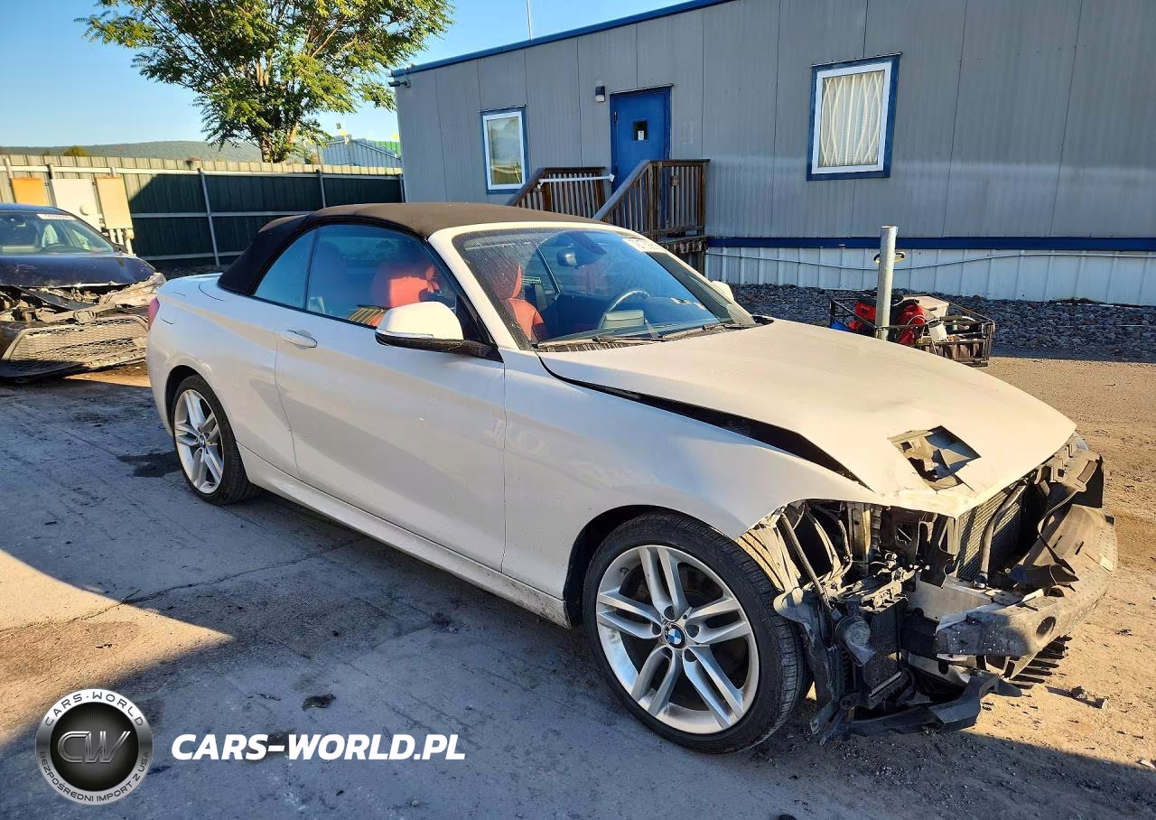 2015 BMW 228 Xi VIN:WBA1K7C53FV473219 - 4