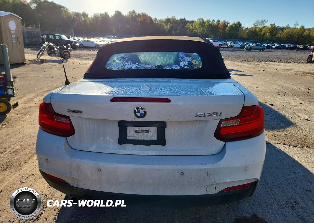 2015 BMW 228 Xi VIN:WBA1K7C53FV473219 - 6