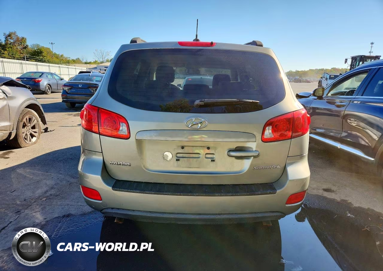 2009 Hyundai Santa Fe Gls VIN:5NMSG13D99H327857 - 6
