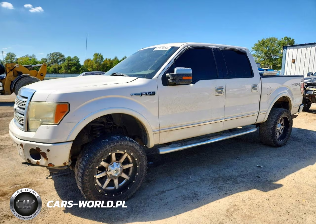 2010 Ford F150 Supercrew VIN:1FTFW1EV8AFA73876 - 1