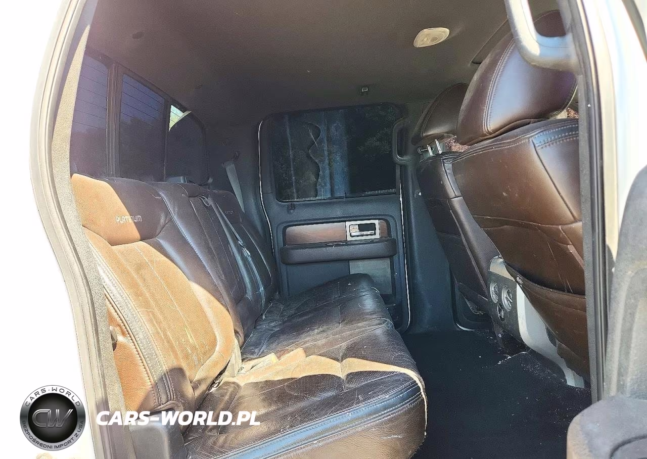 2010 Ford F150 Supercrew VIN:1FTFW1EV8AFA73876 - 10