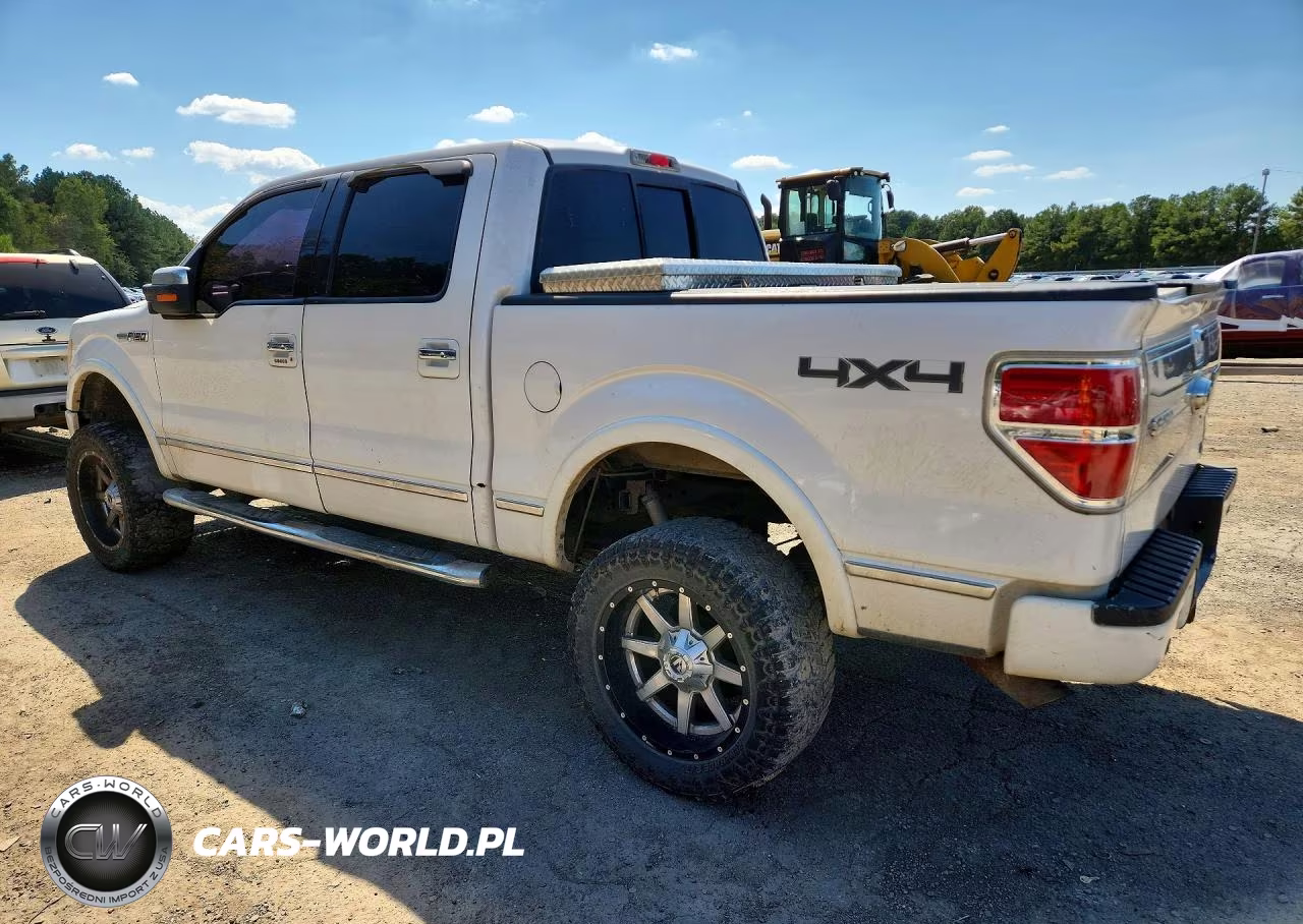 2010 Ford F150 Supercrew VIN:1FTFW1EV8AFA73876 - 2