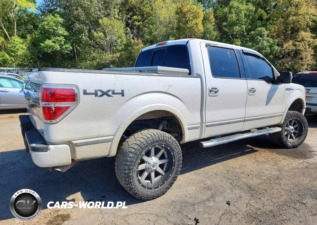 2010 Ford F150 Supercrew VIN:1FTFW1EV8AFA73876 - 3
