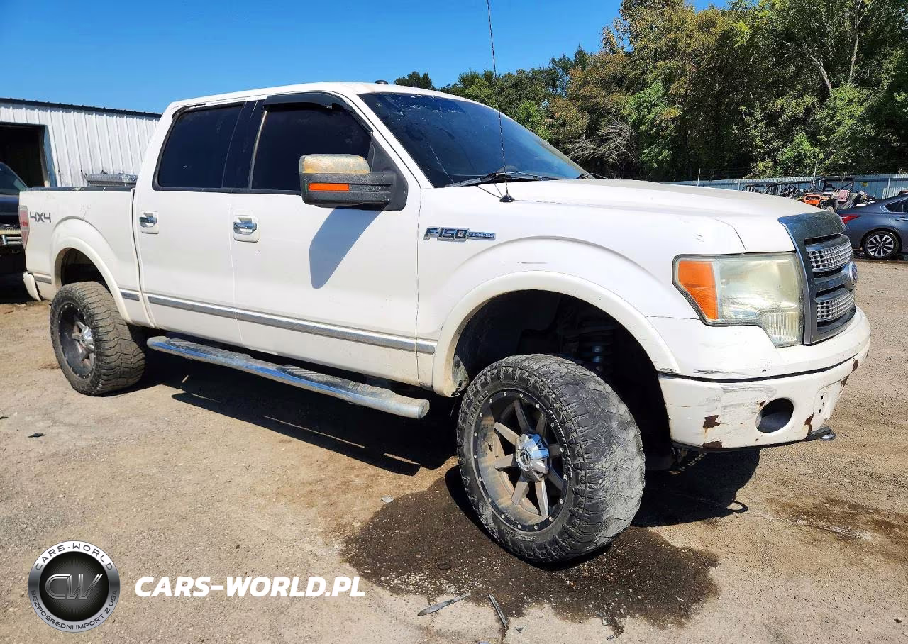2010 Ford F150 Supercrew VIN:1FTFW1EV8AFA73876 - 4