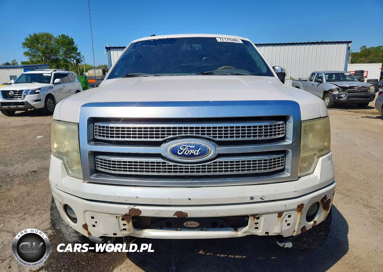 2010 Ford F150 Supercrew VIN:1FTFW1EV8AFA73876 - 5