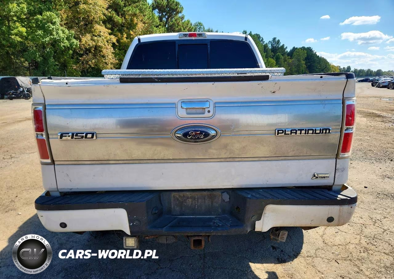 2010 Ford F150 Supercrew VIN:1FTFW1EV8AFA73876 - 6