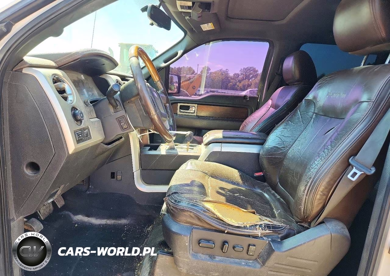 2010 Ford F150 Supercrew VIN:1FTFW1EV8AFA73876 - 7
