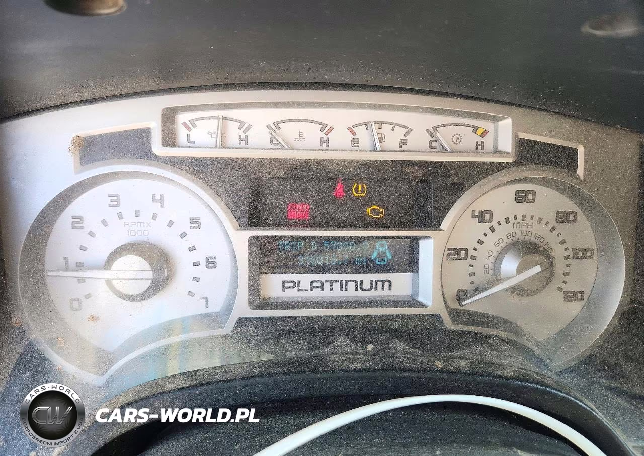 2010 Ford F150 Supercrew VIN:1FTFW1EV8AFA73876 - 9