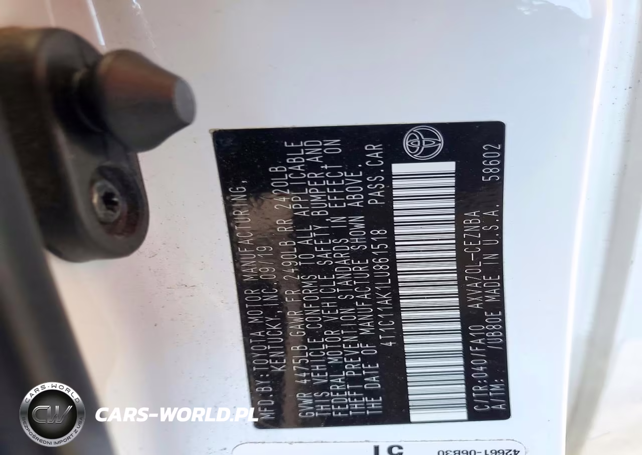 2020 Toyota Camry Le VIN:4T1C11AK1LU861518 - 12