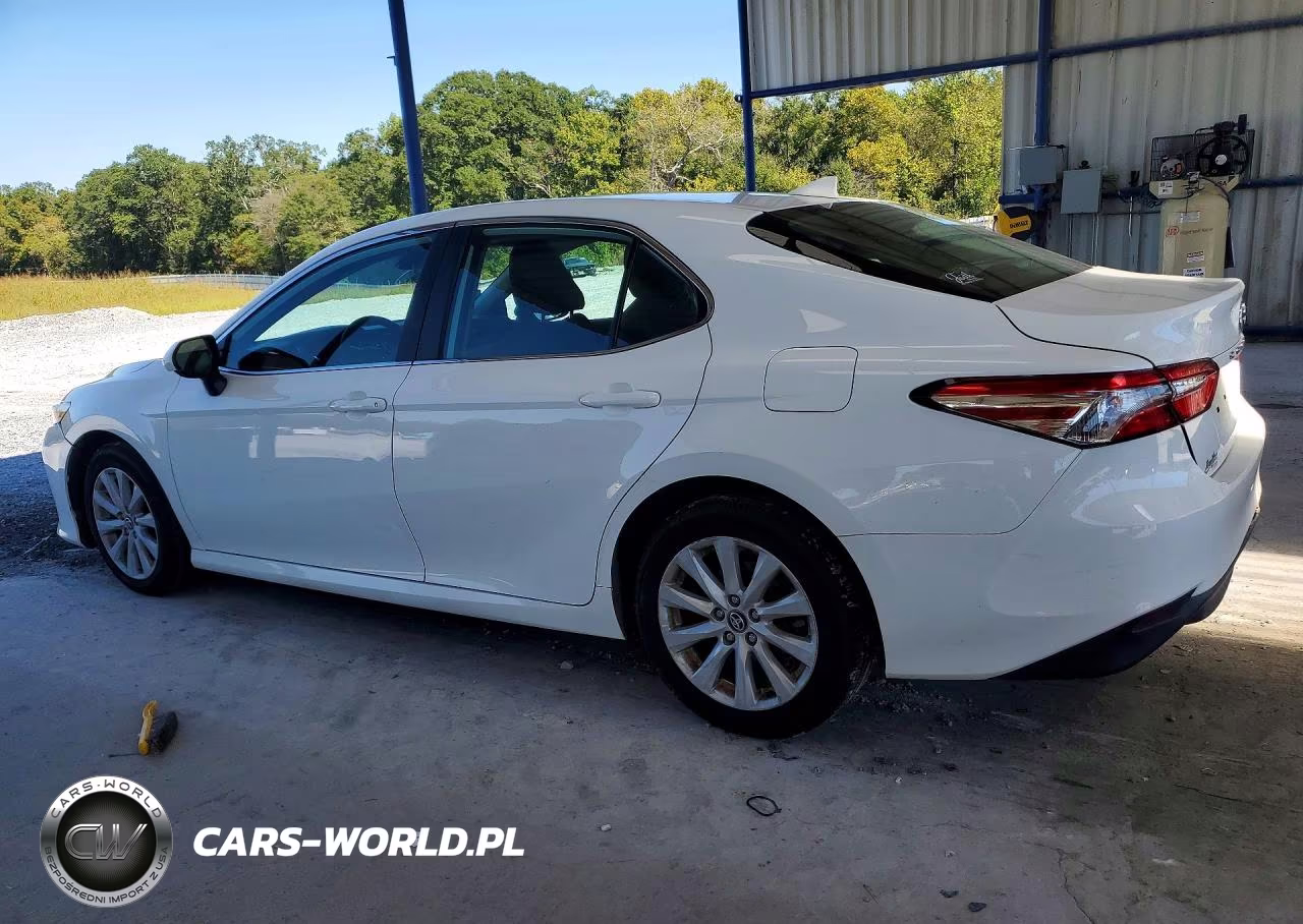 2020 Toyota Camry Le VIN:4T1C11AK1LU861518 - 2