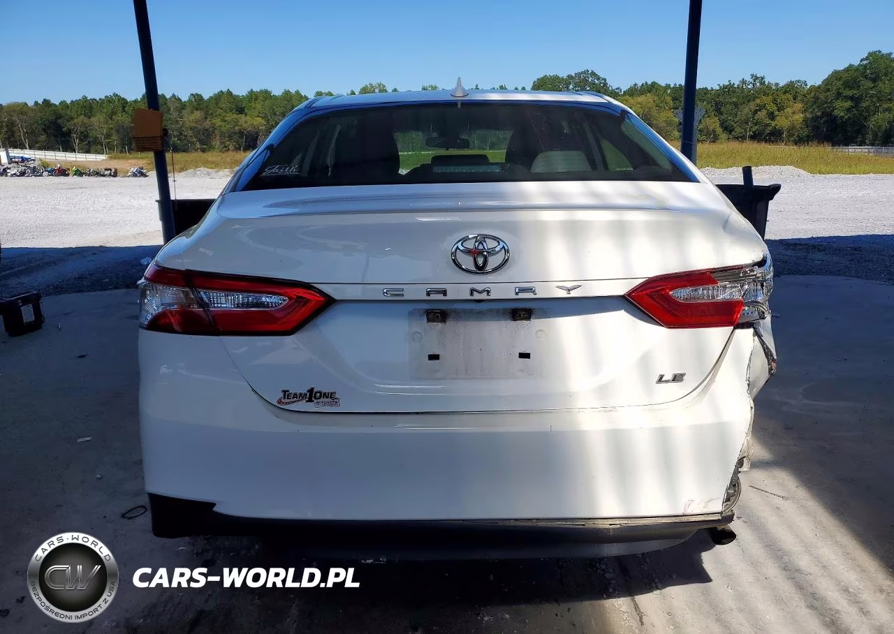 2020 Toyota Camry Le VIN:4T1C11AK1LU861518 - 6