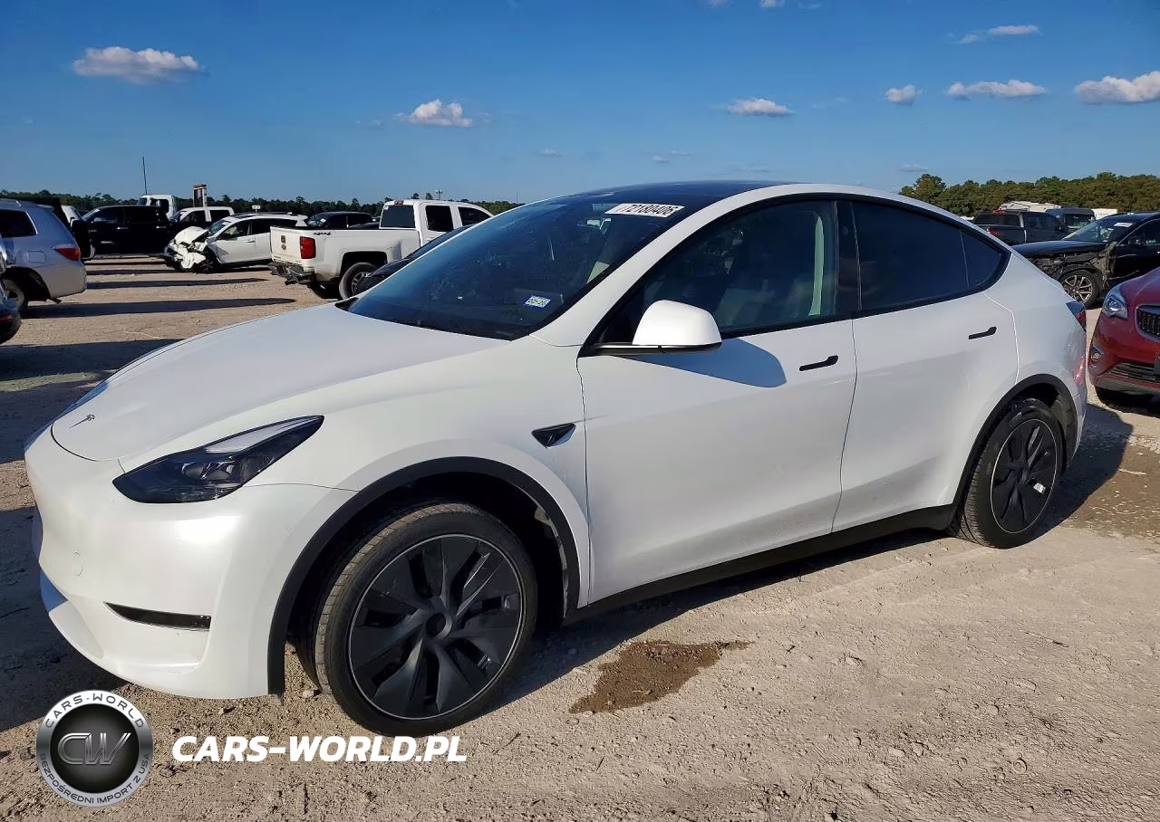 2025 Tesla Model Y VIN:7SAYGDED0SA378955 - 1