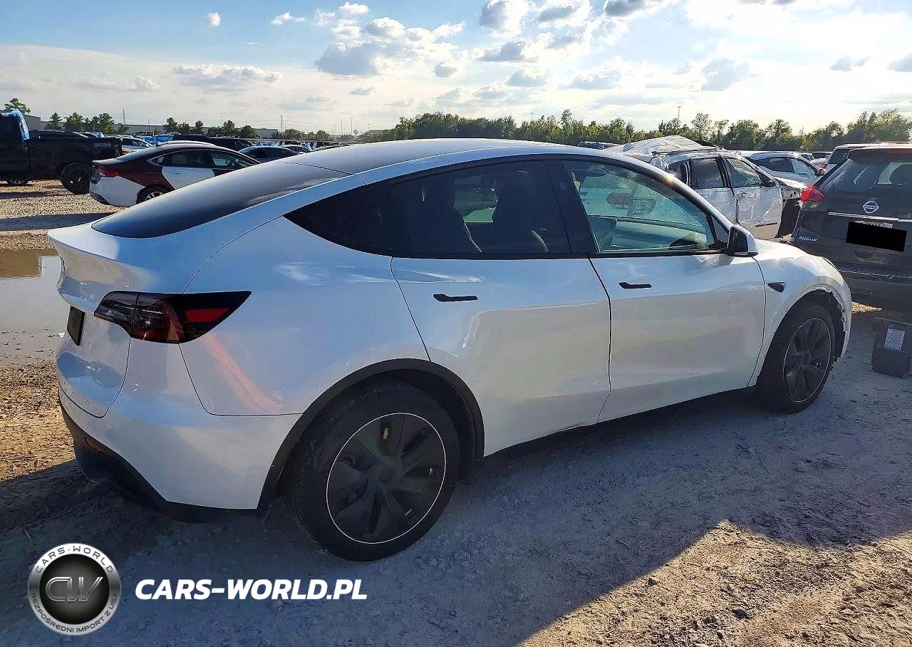 2025 Tesla Model Y VIN:7SAYGDED0SA378955 - 3