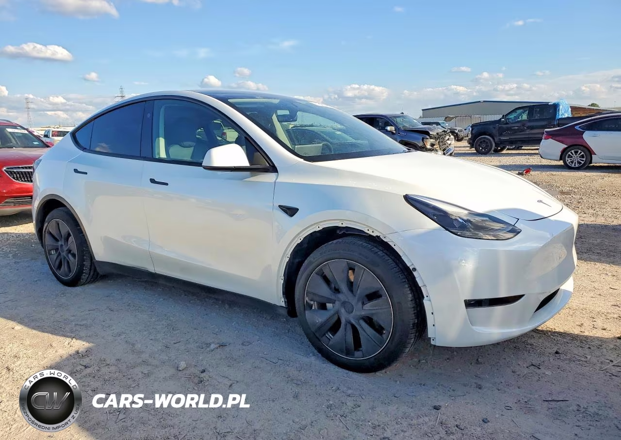 2025 Tesla Model Y VIN:7SAYGDED0SA378955 - 4