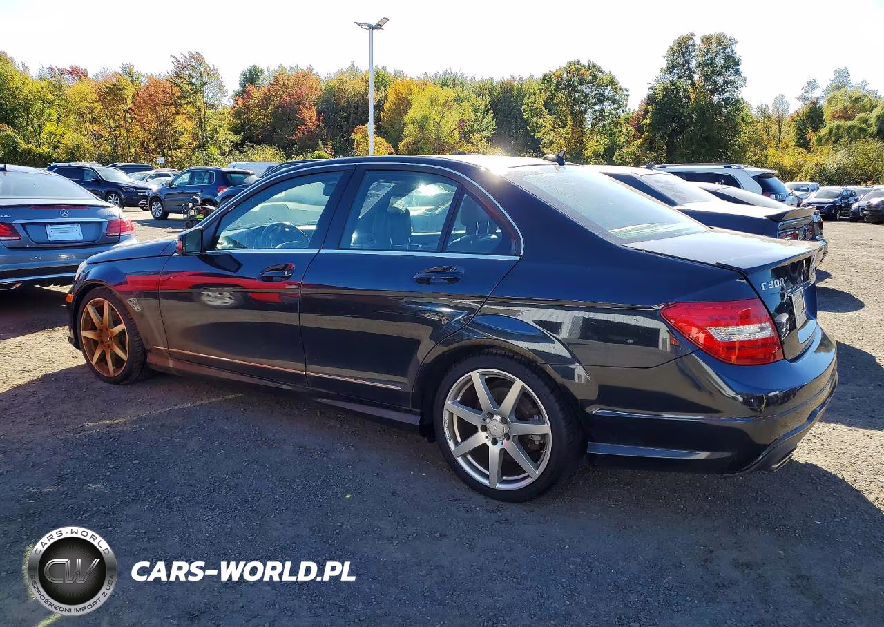 2014 Mercedes-Benz C 300 4Matic VIN:WDDGF8AB5EA959624 - 2