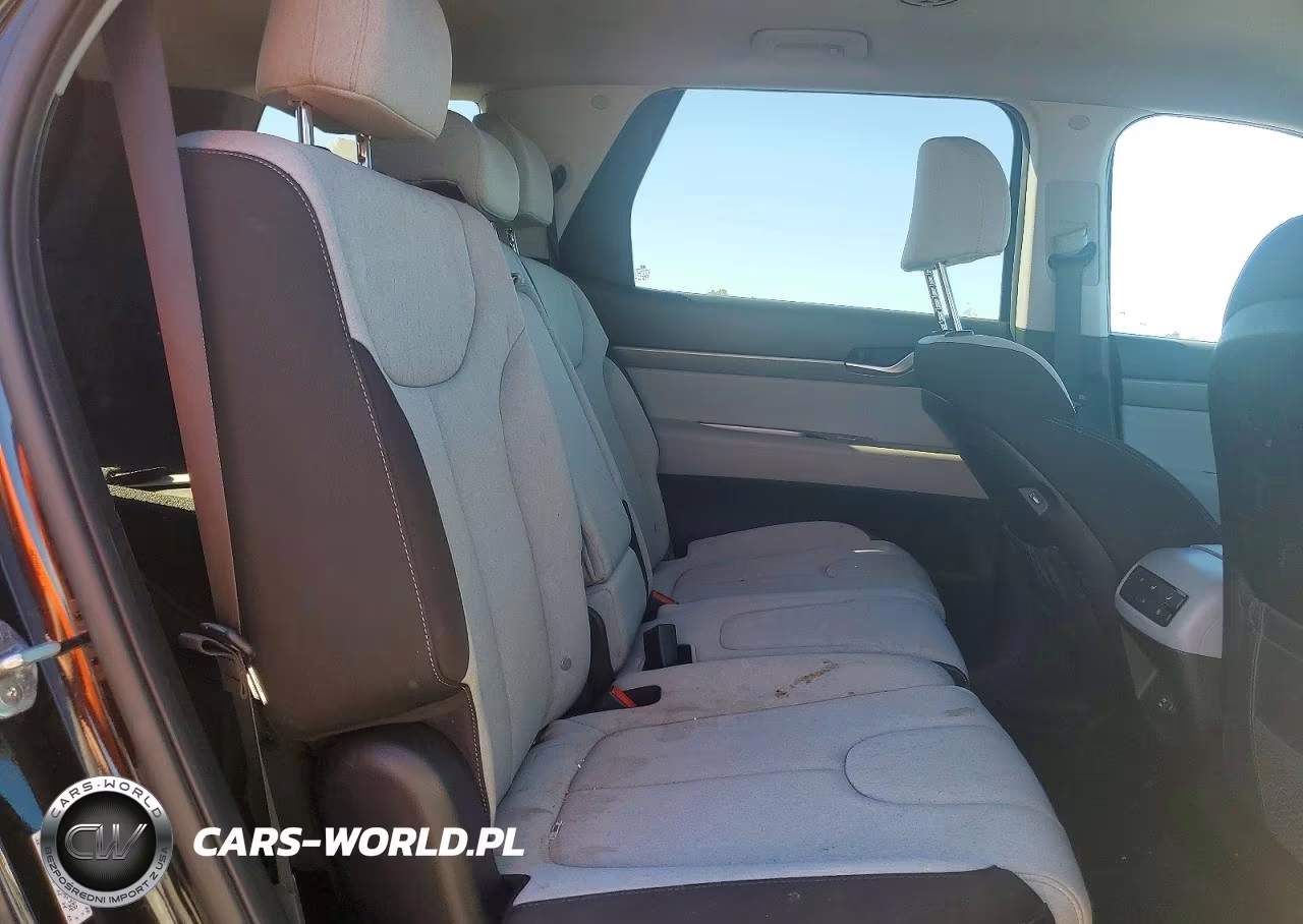 2022 Hyundai Palisade Se VIN:KM8R1DHE0NU382988 - 11