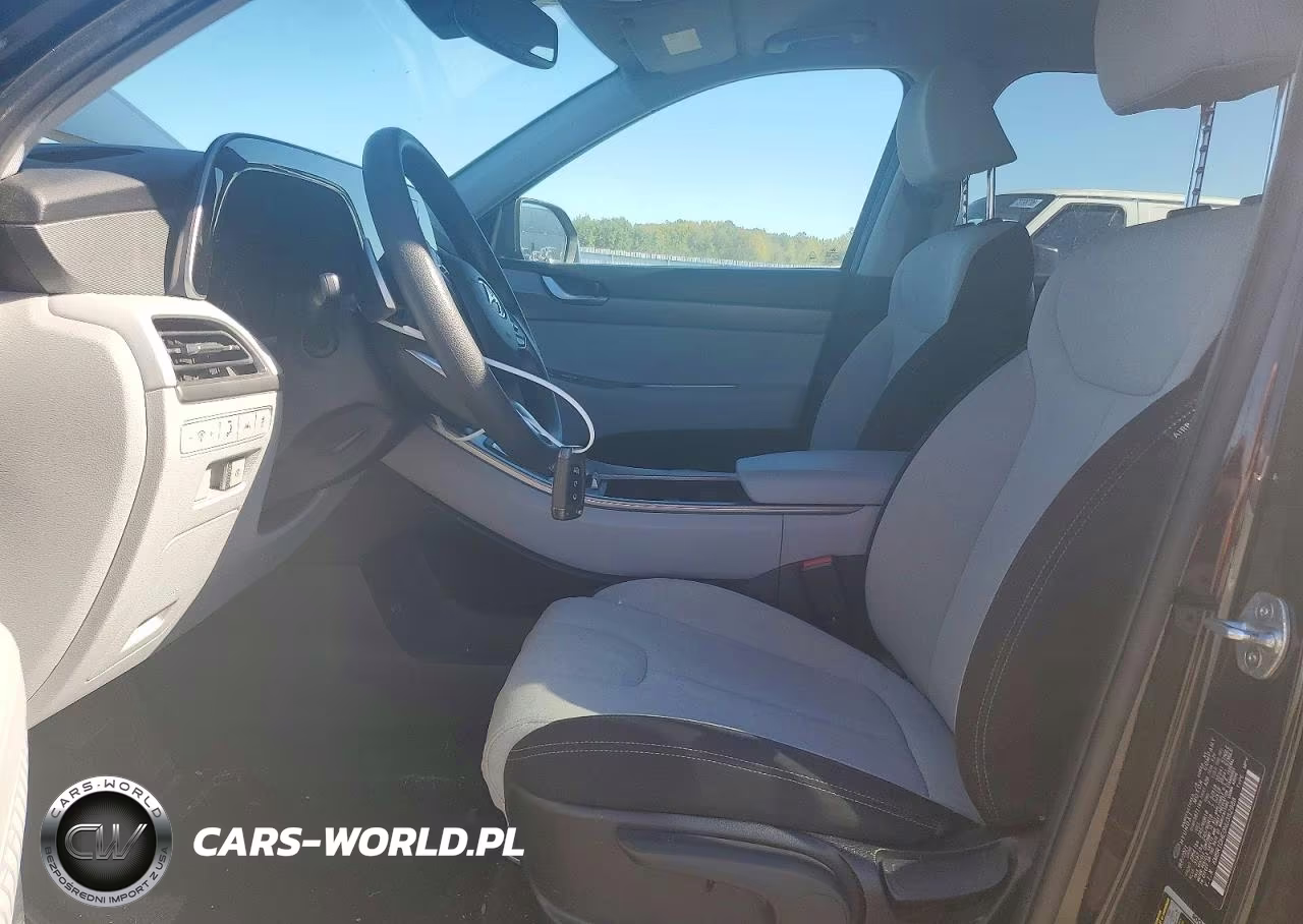 2022 Hyundai Palisade Se VIN:KM8R1DHE0NU382988 - 7