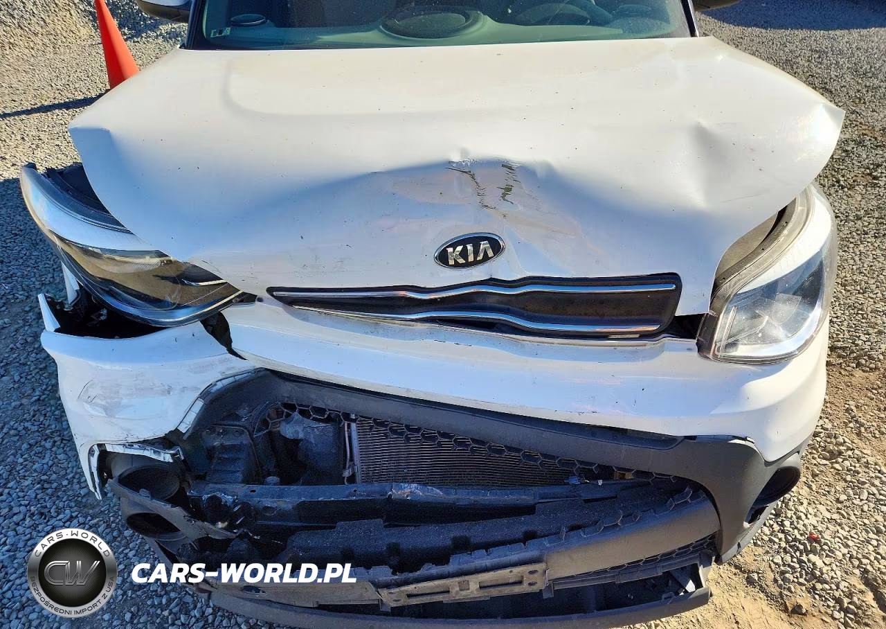 2019 Kia Soul Base VIN:KNDJN2A26K7008485 - 12