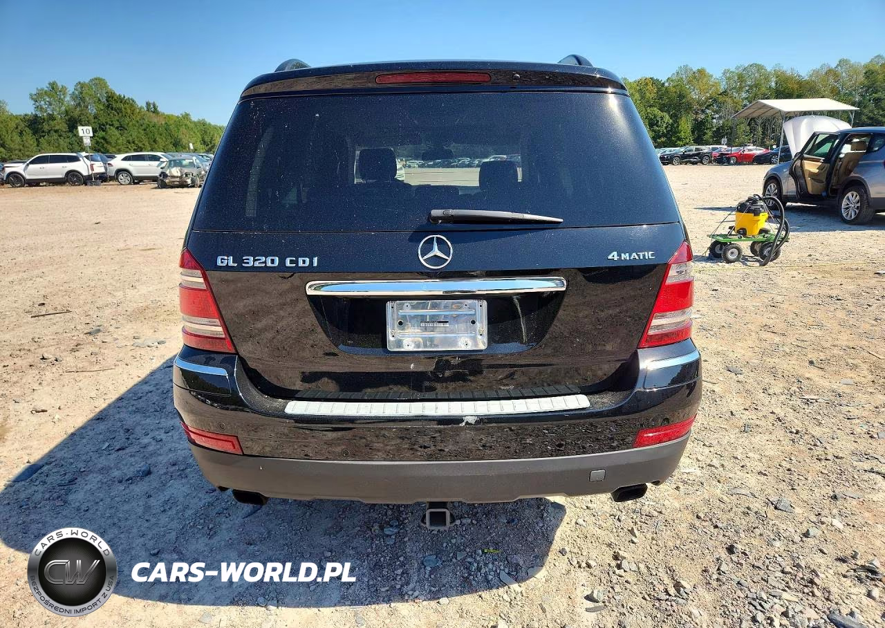 2008 Mercedes-Benz Gl 320 Cdi VIN:4JGBF22E58A358482 - 6