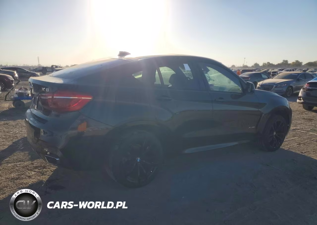 2018 BMW X6 xDrive35I VIN:5UXKU2C57J0Z62487 - 3