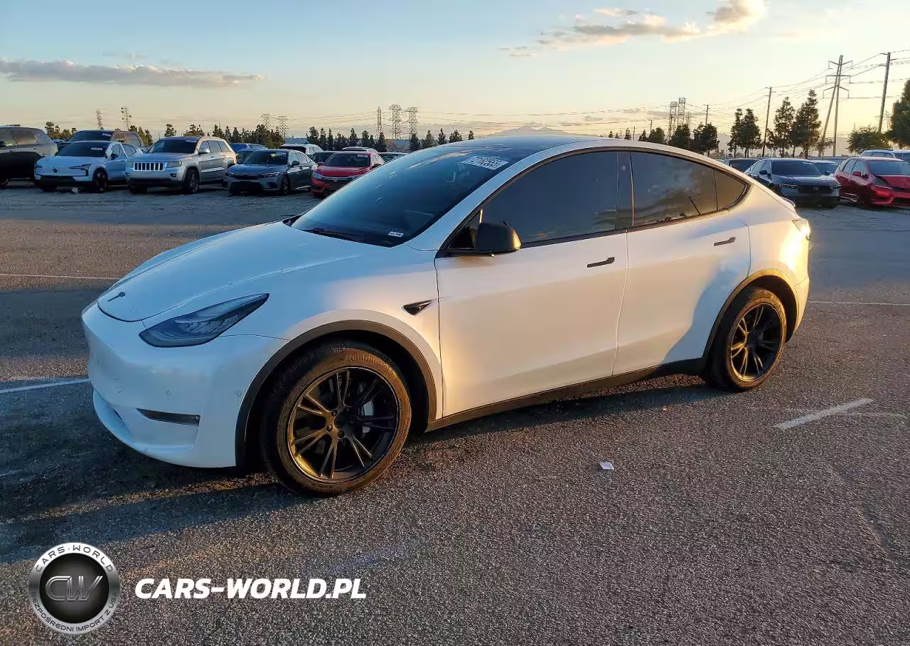 2020 Tesla Model Y