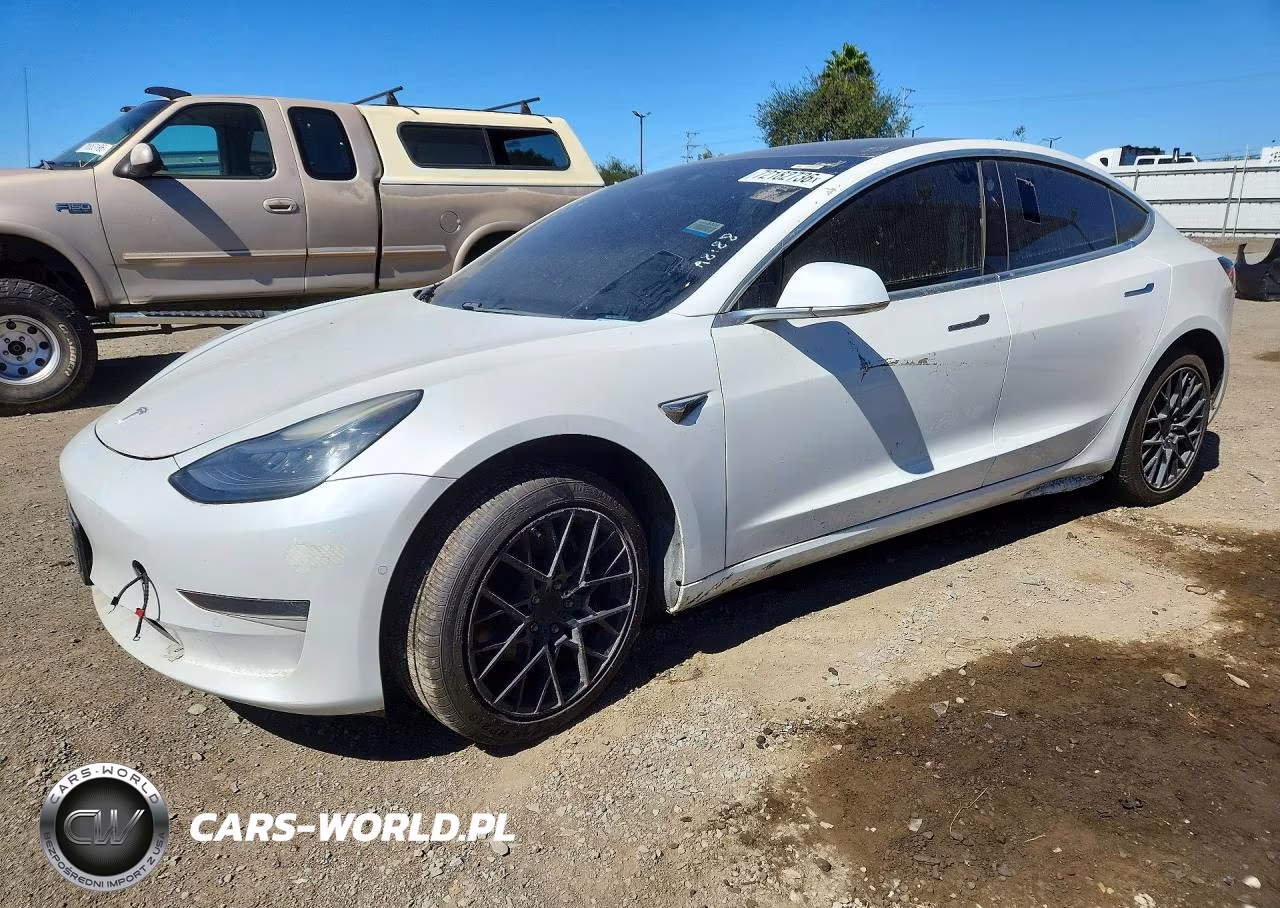 2019 Tesla Model 3
