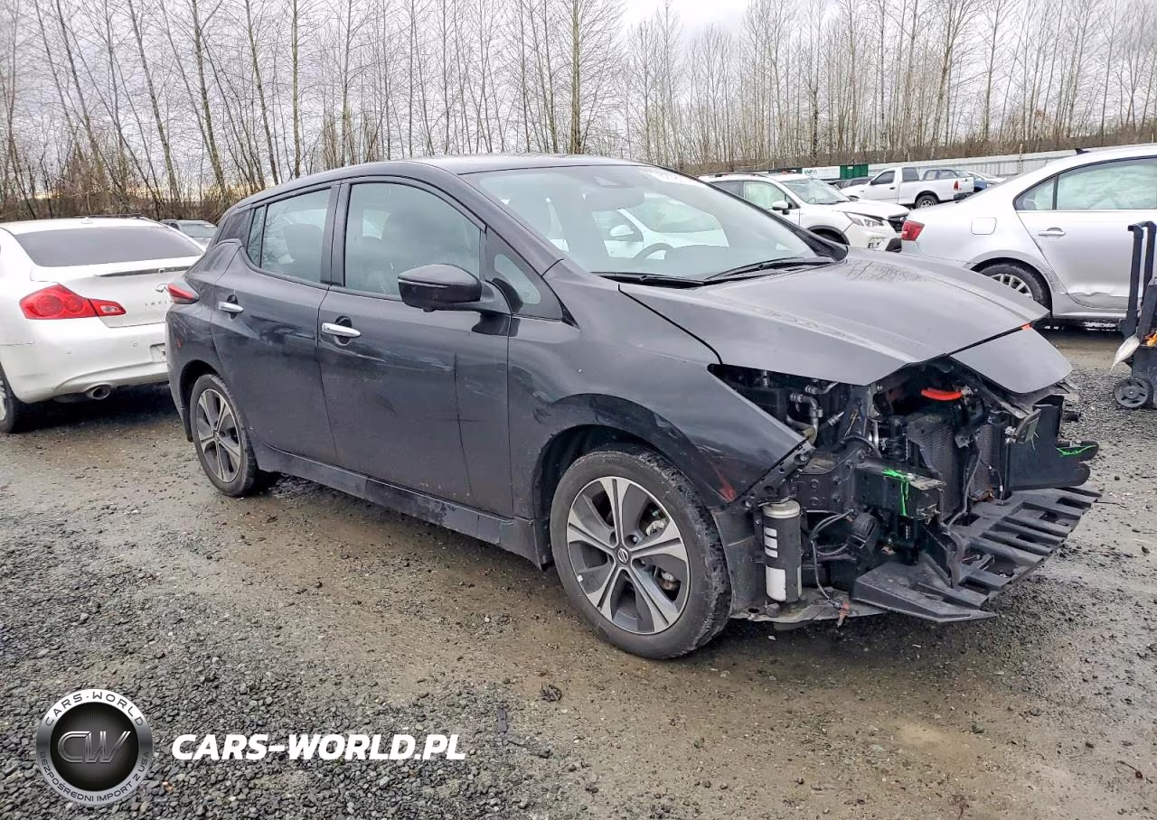 2021 Nissan Leaf Sl Plus VIN:1N4BZ1DV9MC556456 - 4